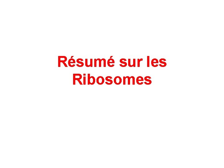 Résumé sur les Ribosomes 