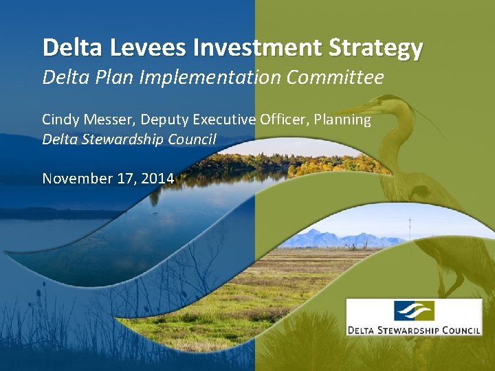 Delta Levees Investment Strategy Delta Plan Implementation Committee Cindy Messer, Deputy Executive Officer, Planning Delta Levees Investment Strategy Delta Plan Implementation Committee Cindy Messer, Deputy Executive Officer, Planning