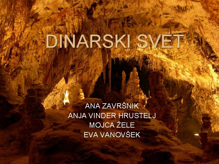 DINARSKI SVET ANA ZAVRŠNIK ANJA VINDER HRUSTELJ MOJCA ŽELE EVA VANOVŠEK 