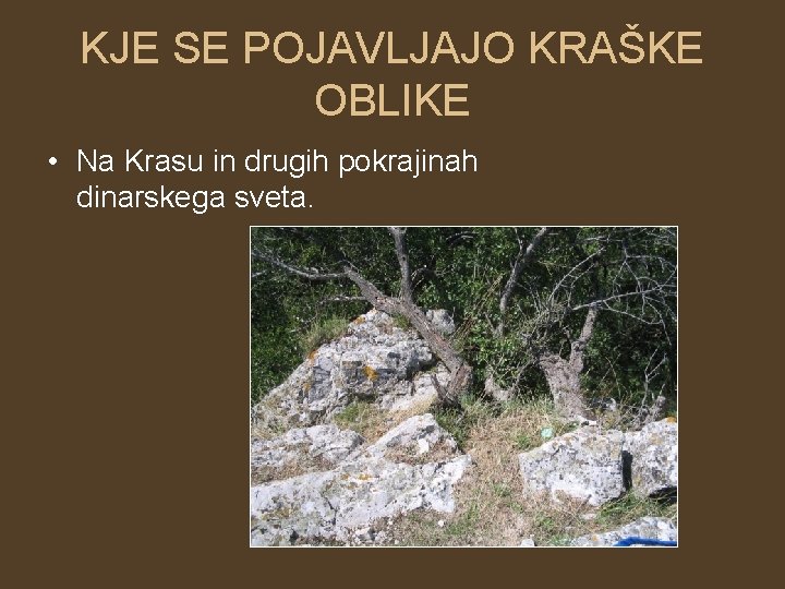 KJE SE POJAVLJAJO KRAŠKE OBLIKE • Na Krasu in drugih pokrajinah dinarskega sveta. 