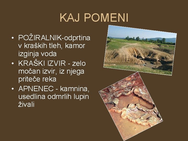 KAJ POMENI • POŽIRALNIK-odprtina v kraških tleh, kamor izginja voda • KRAŠKI IZVIR -