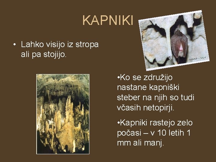 KAPNIKI • Lahko visijo iz stropa ali pa stojijo. • Ko se združijo nastane