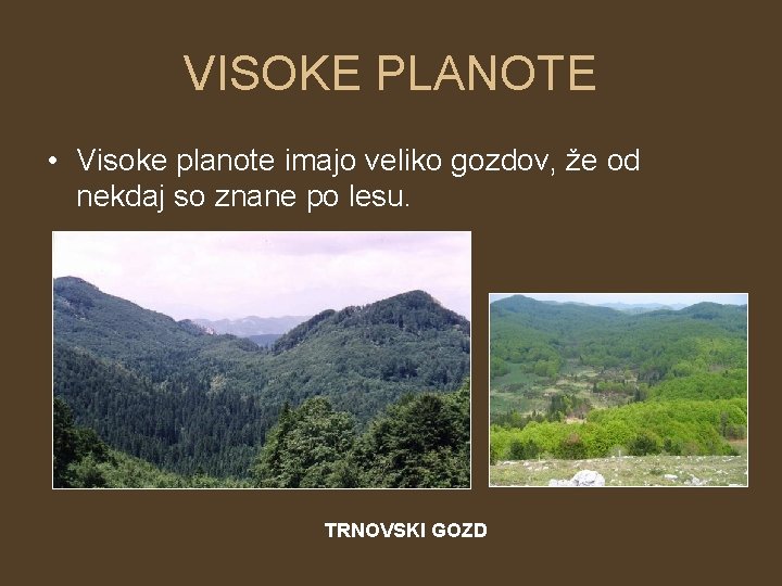 VISOKE PLANOTE • Visoke planote imajo veliko gozdov, že od nekdaj so znane po