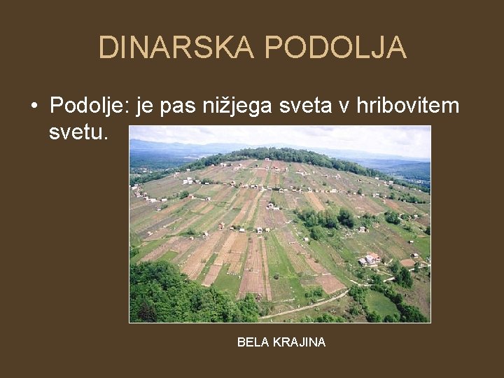 DINARSKA PODOLJA • Podolje: je pas nižjega sveta v hribovitem svetu. BELA KRAJINA 