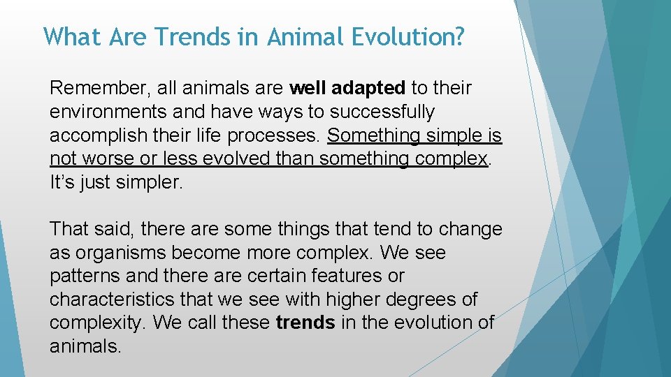 What Are Trends in Animal Evolution? Remember, all animals are well adapted to their What Are Trends in Animal Evolution? Remember, all animals are well adapted to their