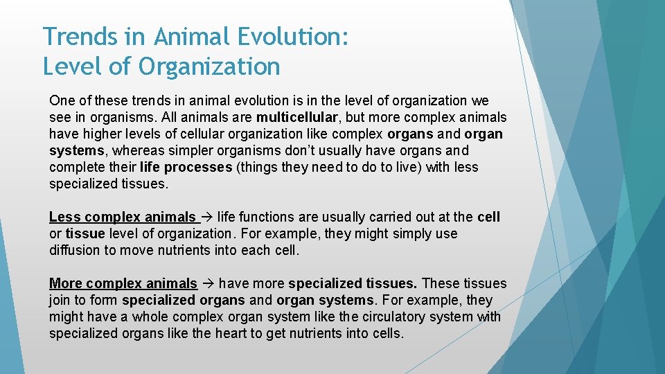 Trends in Animal Evolution: Level of Organization One of these trends in animal evolution Trends in Animal Evolution: Level of Organization One of these trends in animal evolution