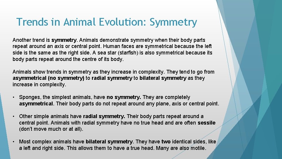 Trends in Animal Evolution: Symmetry Another trend is symmetry. Animals demonstrate symmetry when their Trends in Animal Evolution: Symmetry Another trend is symmetry. Animals demonstrate symmetry when their