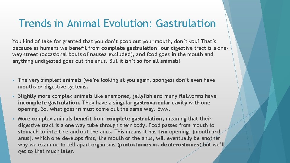 Trends in Animal Evolution: Gastrulation You kind of take for granted that you don’t Trends in Animal Evolution: Gastrulation You kind of take for granted that you don’t