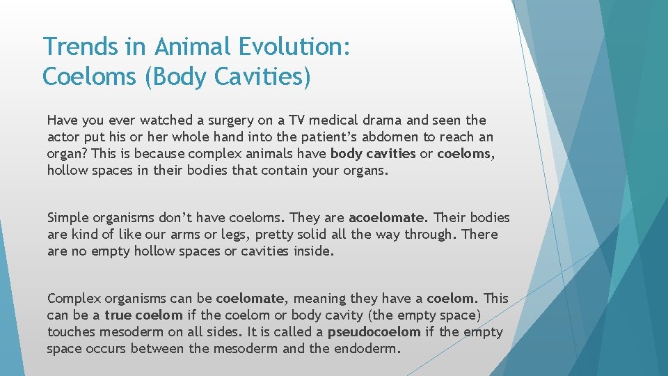 Trends in Animal Evolution: Coeloms (Body Cavities) Have you ever watched a surgery on Trends in Animal Evolution: Coeloms (Body Cavities) Have you ever watched a surgery on