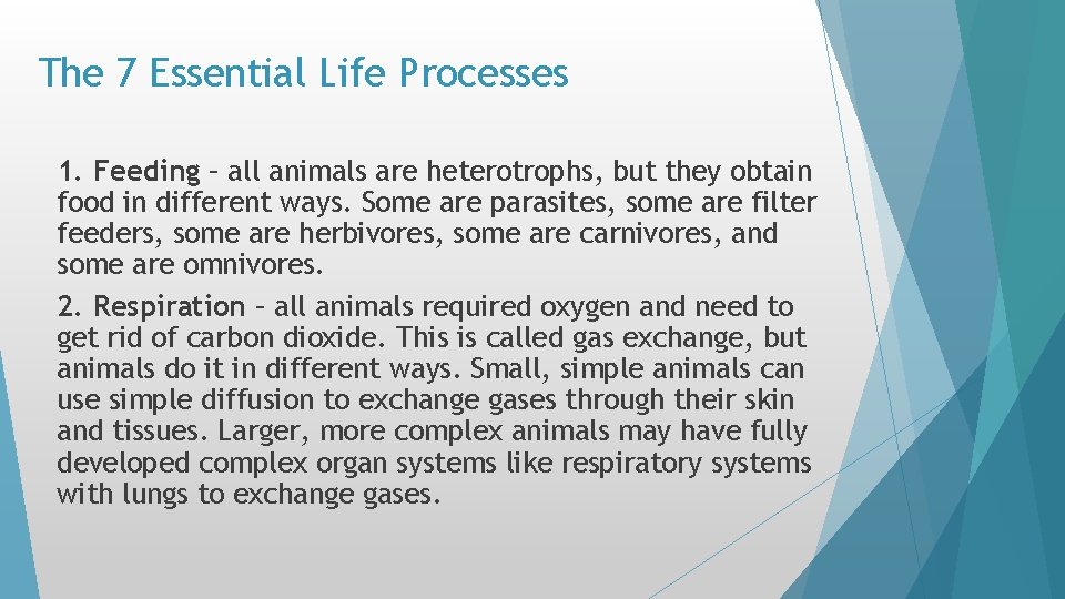 The 7 Essential Life Processes 1. Feeding – all animals are heterotrophs, but they The 7 Essential Life Processes 1. Feeding – all animals are heterotrophs, but they