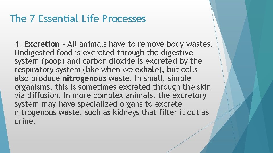 The 7 Essential Life Processes 4. Excretion – All animals have to remove body The 7 Essential Life Processes 4. Excretion – All animals have to remove body