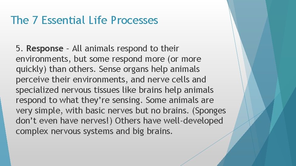 The 7 Essential Life Processes 5. Response – All animals respond to their environments, The 7 Essential Life Processes 5. Response – All animals respond to their environments,