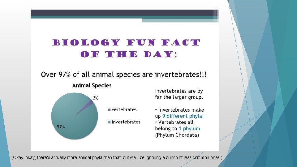 (Okay, okay, there’s actually more animal phyla than that, but we’ll be ignoring a (Okay, okay, there’s actually more animal phyla than that, but we’ll be ignoring a