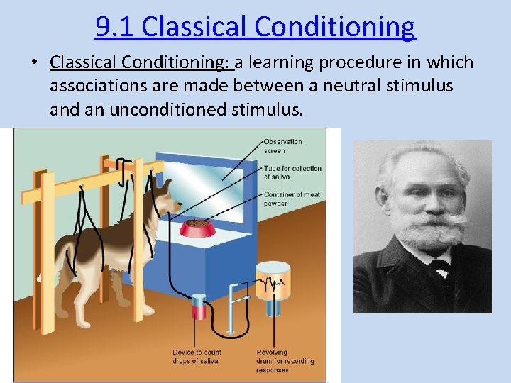 9. 1 Classical Conditioning • Classical Conditioning: a learning procedure in which associations are