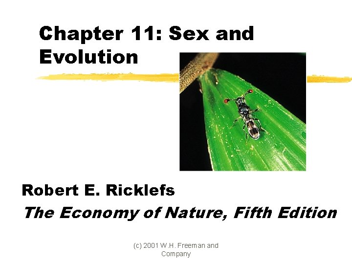 Chapter 11: Sex and Evolution Robert E. Ricklefs The Economy of Nature, Fifth Edition