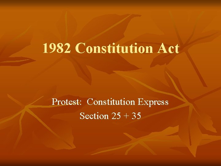 1982 Constitution Act Protest: Constitution Express Section 25 + 35 