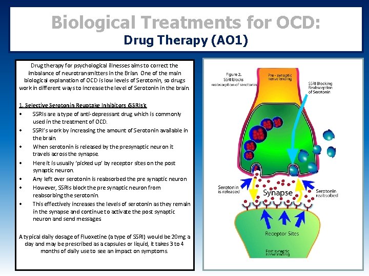 Biological Treatments for OCD: Drug Therapy (AO 1) Drug therapy for psychological illnesses aims