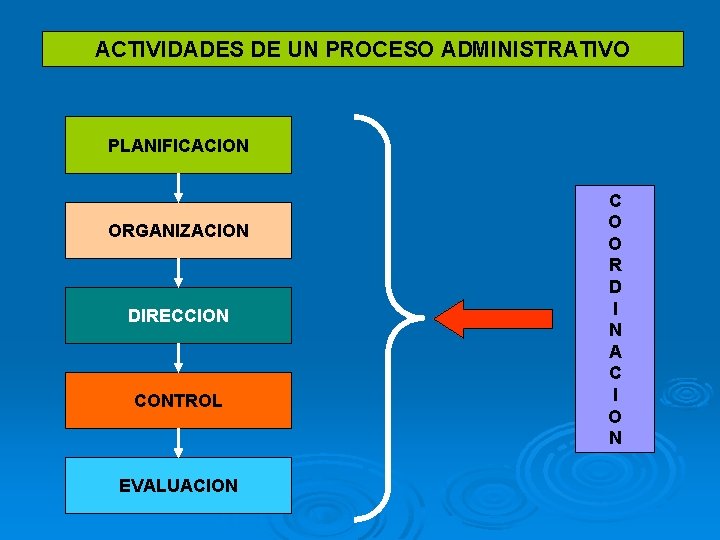 ACTIVIDADES DE UN PROCESO ADMINISTRATIVO PLANIFICACION ORGANIZACION DIRECCION CONTROL EVALUACION C O O R