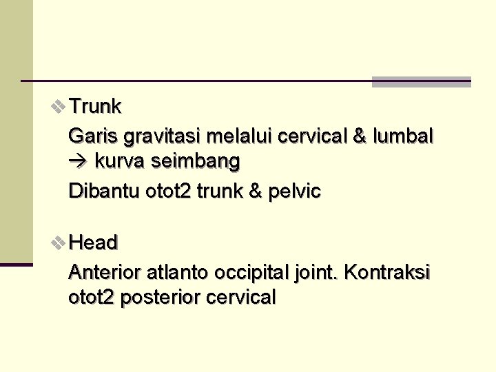v Trunk Garis gravitasi melalui cervical & lumbal kurva seimbang Dibantu otot 2 trunk