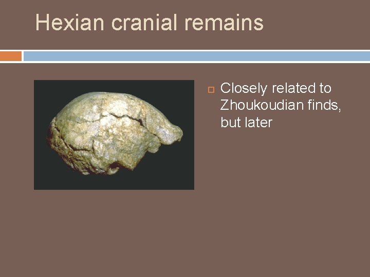 Hexian cranial remains Closely related to Zhoukoudian finds, but later 