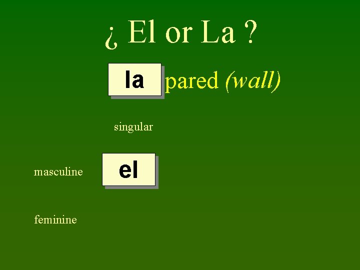 ¿ El or La ? la pared (wall) singular masculine feminine el 