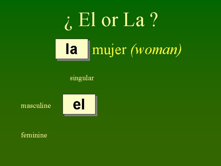 ¿ El or La ? la mujer (woman) singular masculine feminine el 