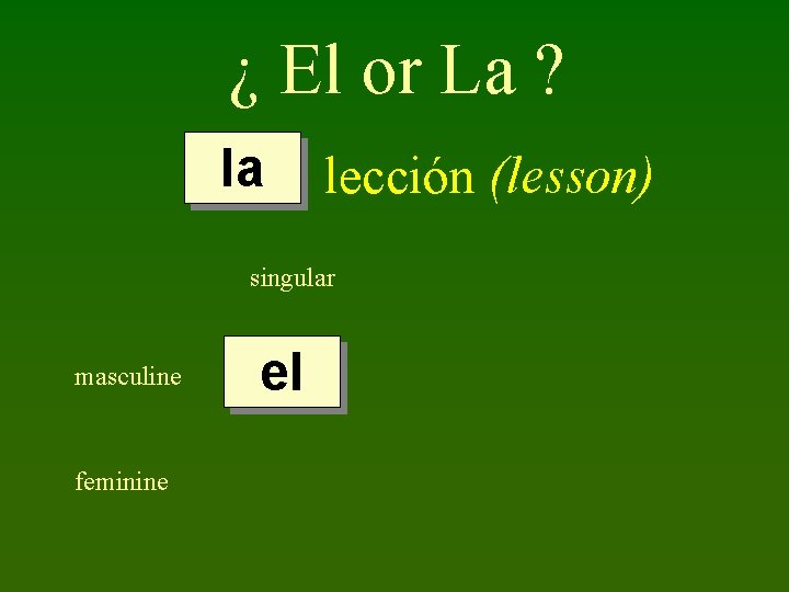 ¿ El or La ? la lección (lesson) singular masculine feminine el 