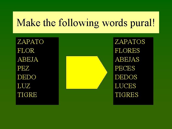 Make the following words pural! ZAPATO FLOR ABEJA PEZ DEDO LUZ TIGRE ZAPATOS FLORES