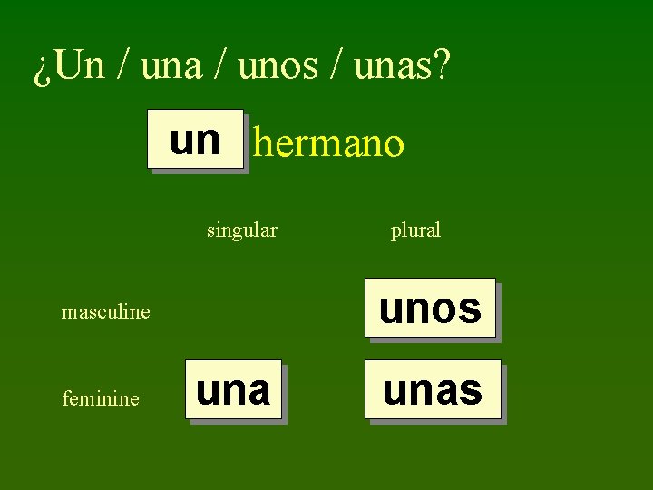 ¿Un / una / unos / unas? un hermano singular unos masculine feminine plural