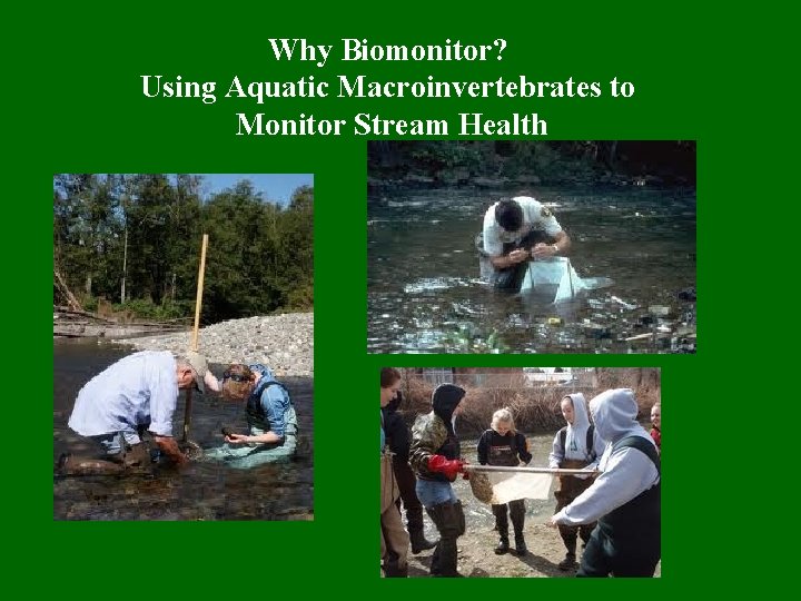 Why Biomonitor? Using Aquatic Macroinvertebrates to Monitor Stream Health 