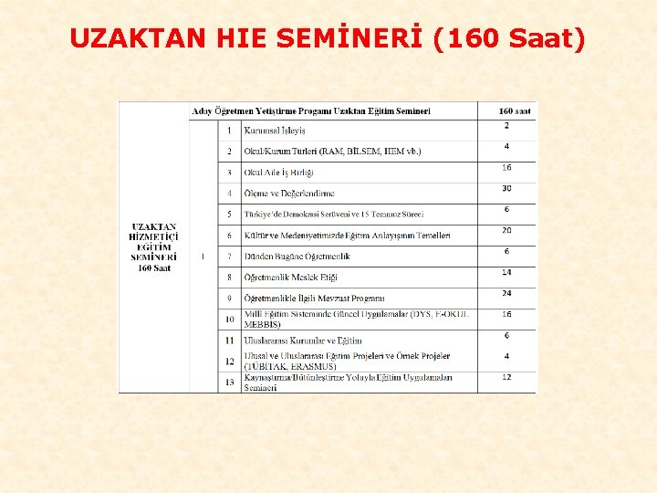 UZAKTAN HIE SEMİNERİ (160 Saat) 