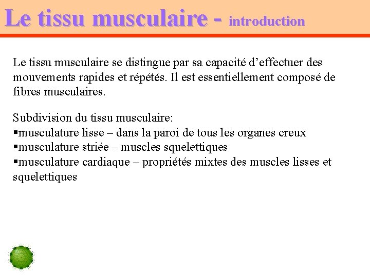 Le tissu musculaire - introduction Le tissu musculaire se distingue par sa capacité d’effectuer