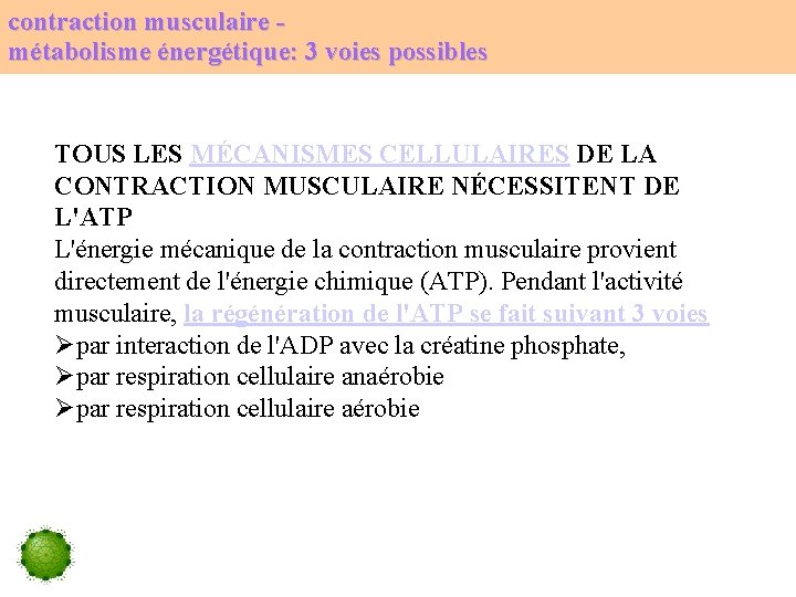 contraction musculaire métabolisme énergétique: 3 voies possibles TOUS LES MÉCANISMES CELLULAIRES DE LA CONTRACTION