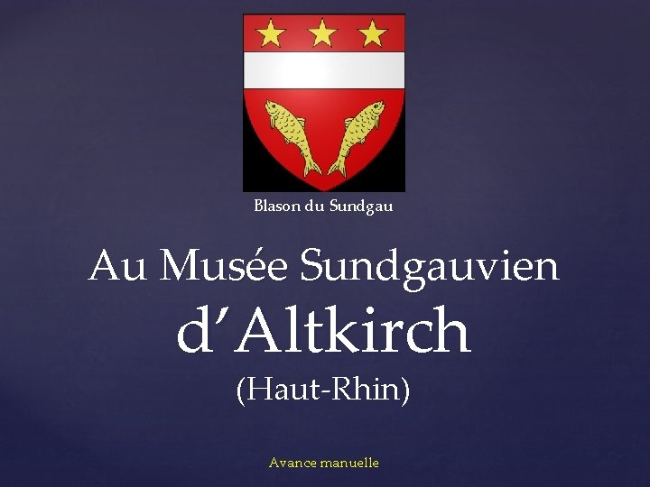 Blason du Sundgau Au Musée Sundgauvien d’Altkirch (Haut-Rhin) Avance manuelle 