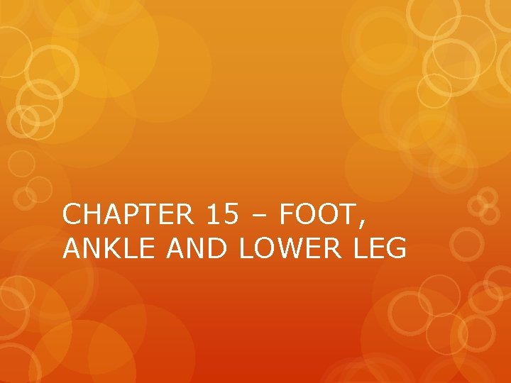 CHAPTER 15 – FOOT, ANKLE AND LOWER LEG 