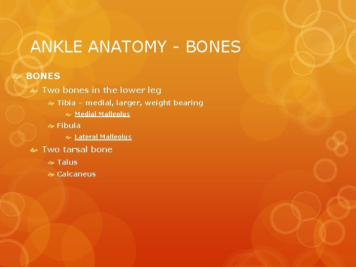 ANKLE ANATOMY - BONES Two bones in the lower leg Tibia – medial, larger,