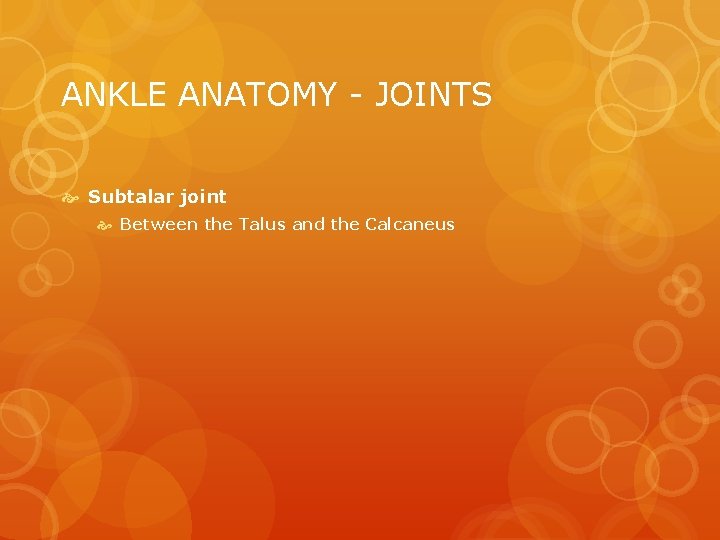 ANKLE ANATOMY - JOINTS Subtalar joint Between the Talus and the Calcaneus 