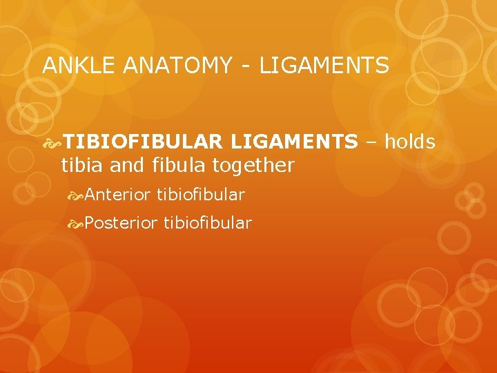 ANKLE ANATOMY - LIGAMENTS TIBIOFIBULAR LIGAMENTS – holds tibia and fibula together Anterior tibiofibular