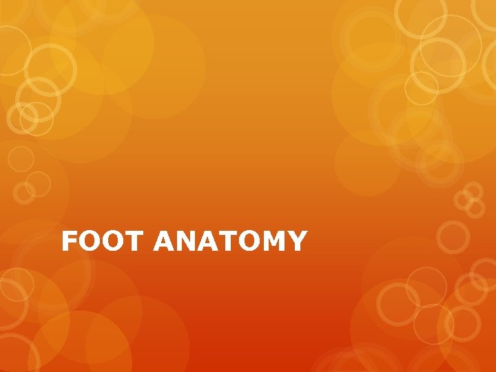 FOOT ANATOMY 