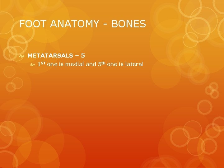 FOOT ANATOMY - BONES METATARSALS – 5 1 ST one is medial and 5