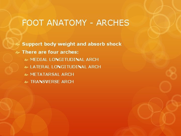 FOOT ANATOMY - ARCHES Support body weight and absorb shock There are four arches: