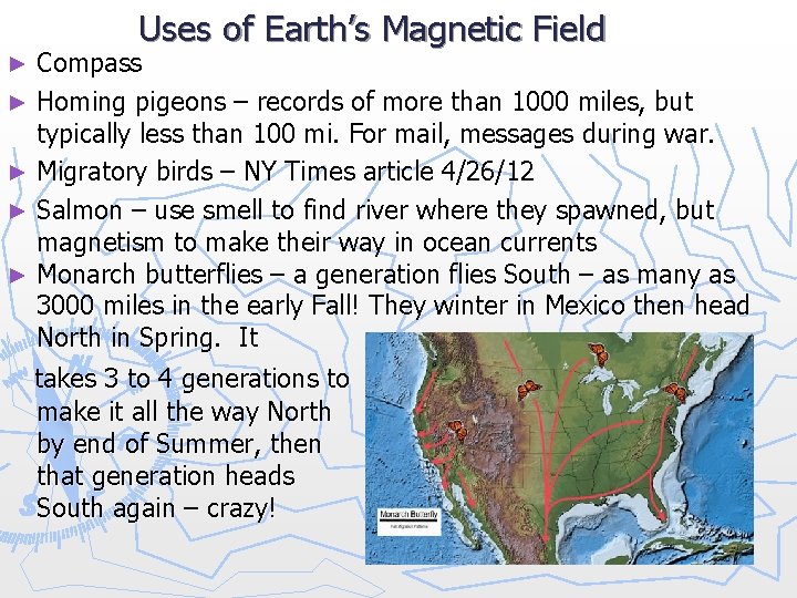 Uses of Earth’s Magnetic Field Compass ► Homing pigeons – records of more than