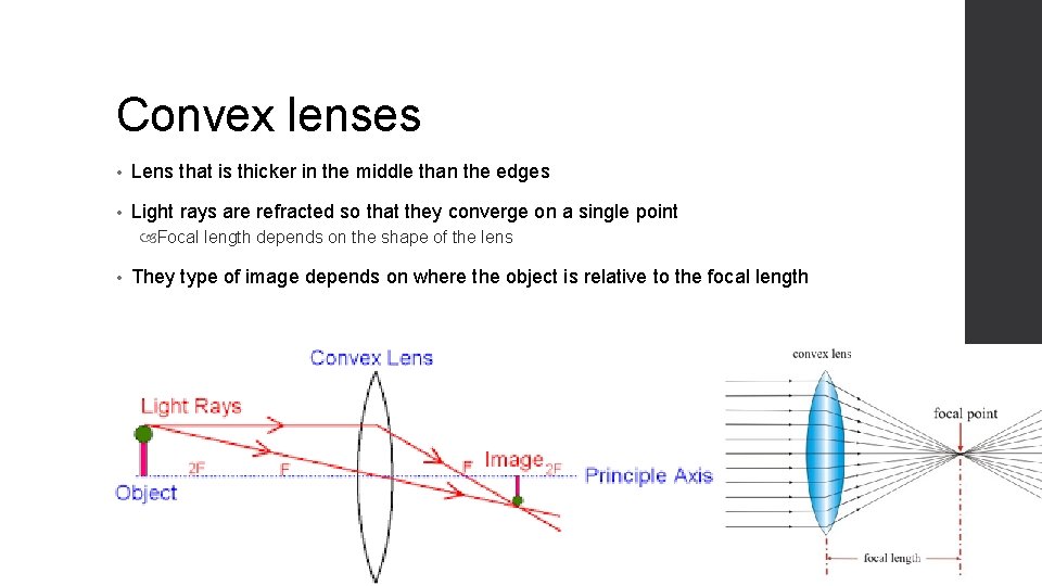 Convex lenses • Lens that is thicker in the middle than the edges •