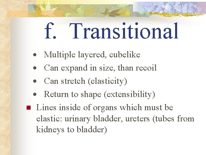 f. Transitional · Multiple layered, cubelike · Can expand in size, than recoil ·