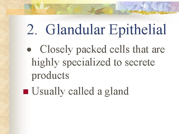 2. Glandular Epithelial · Closely packed cells that are highly specialized to secrete products