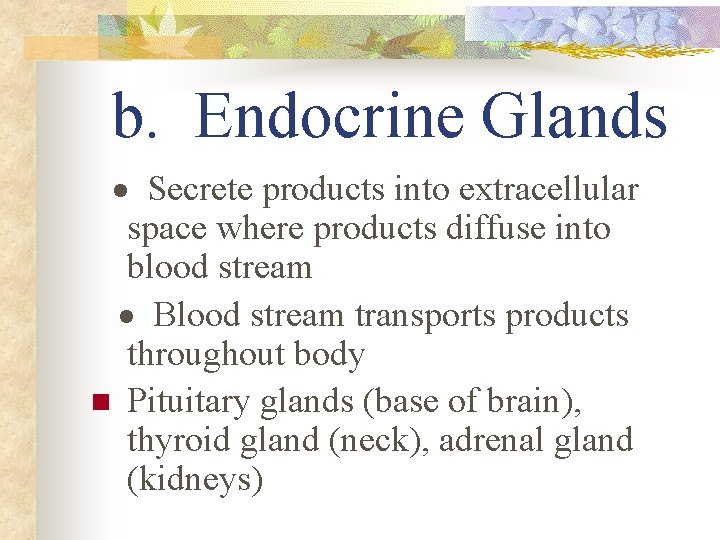 b. Endocrine Glands · Secrete products into extracellular space where products diffuse into blood