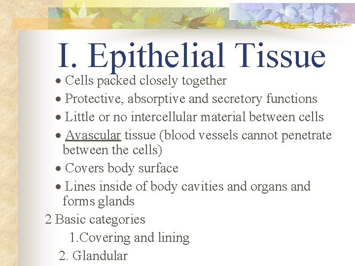 I. Epithelial Tissue · Cells packed closely together · Protective, absorptive and secretory functions
