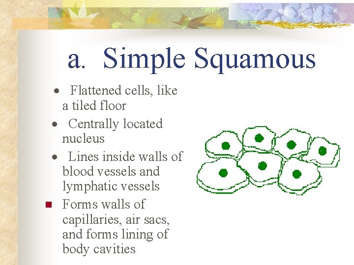 a. Simple Squamous · Flattened cells, like a tiled floor · Centrally located nucleus