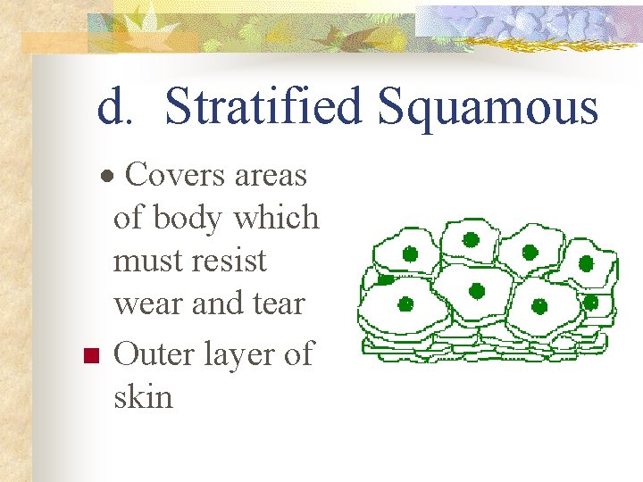 d. Stratified Squamous · Covers areas of body which must resist wear and tear