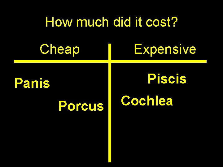 How much did it cost? Cheap Expensive Piscis Panis Porcus Cochlea 